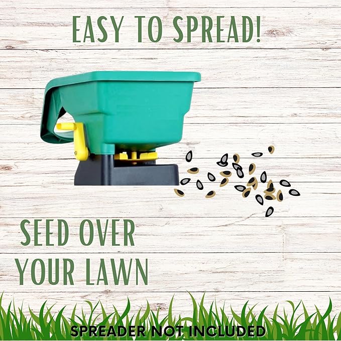 Flawn Seed Kits Mow Less Fine Fescue Eco-Grass Seed, 4 Lbs, Low Maintenance Lawn, Resealable Pail with Handle, Covers up to 2000 Sqft