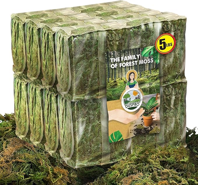 DUSPRO Big Bag Dried Forest Moss for Plant Propagation Sphagnum Moss Bulk for Orchid Repotting Mix Organic Soil Medium Bale Premium Hand Selected (5 LBS)